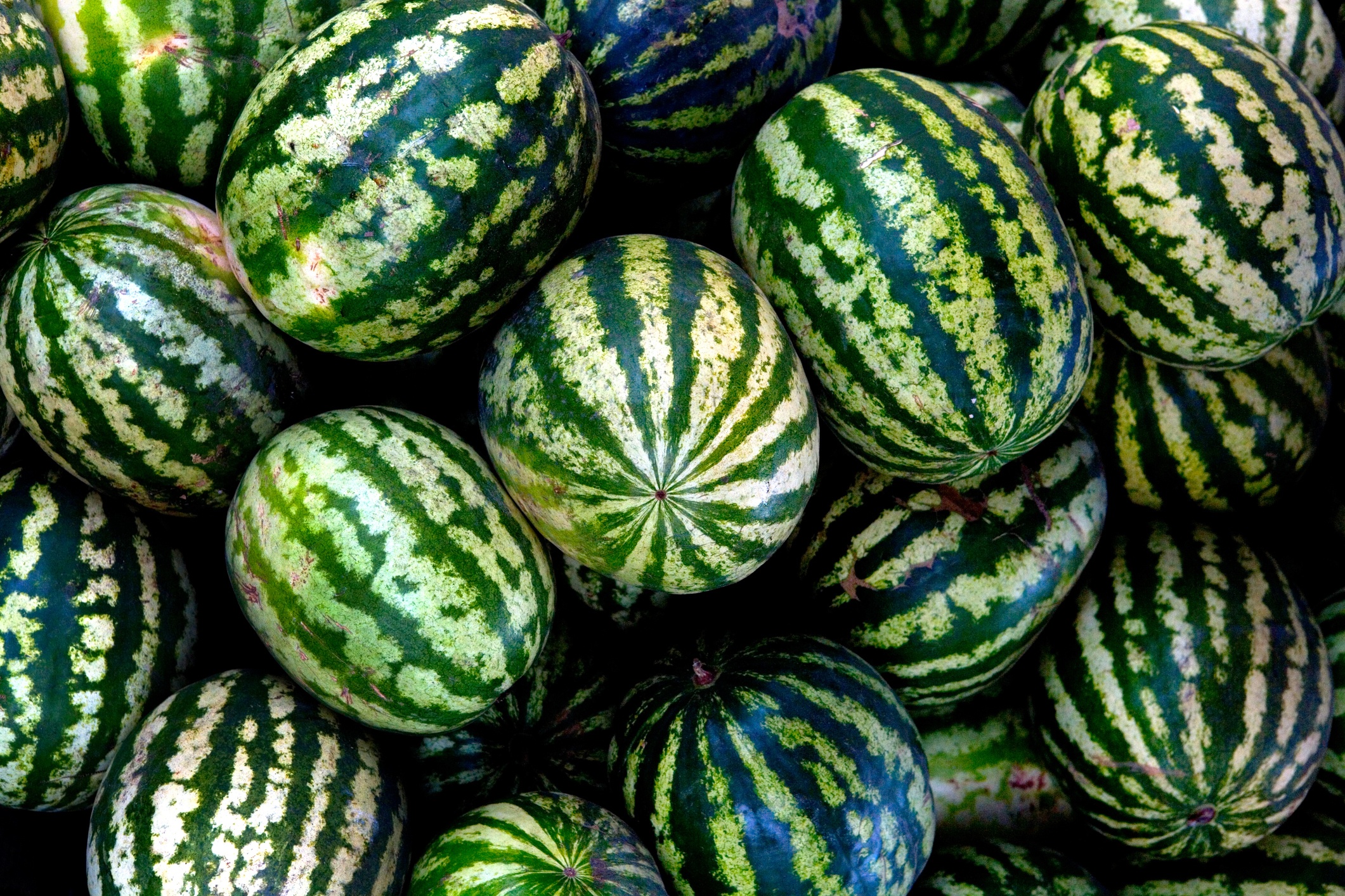 Fresh whole watermelons at grocery store